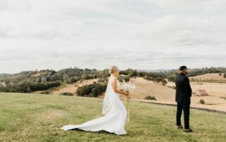 190 black oak mountain vineyards