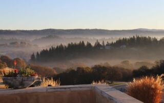 277 black oak mountain vineyards