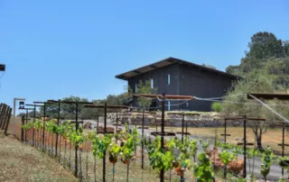 4 amenities at black oak mountain vineyards | napa wedding venues