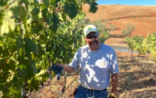7 winery and farming at black oak